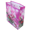 Gift Shopping Bag, Matte PPC, Size: about 31cm wide, 39cm high, 9cm bottom wide, Sold by Box