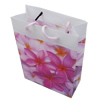 Gift Shopping Bag, Matte PPC, Size: about 12.5cm wide, 17.5cm high, 5.5cm bottom wide, Sold by Box