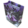 Gift Shopping Bag, Matte PPC, Size: about 31cm wide, 39cm high, 9cm bottom wide, Sold by Box