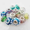 Handmade European Style Lampwork Beads, Mix colour & Mix style, Platina Plated Color Copper Core, 9x14mm Hole:approx 5mm,