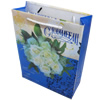 Gift Shopping Bag, Translucent PPC, Size: about 30cm wide, 38cm high, 10cm bottom wide, Sold by Box