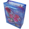 Gift Shopping Bag, Translucent PPC, Size: about 30cm wide, 38cm high, 10cm bottom wide, Sold by Box