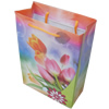 Gift Shopping Bag, Matte PPC, Size: about 31cm wide, 39cm high, 9cm bottom wide, Sold by Box