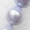 South Sea Shell Beads, Round, 6mm, Hole:Approx 1mm, Sold per 16-inch Strand