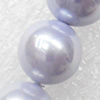 South Sea Shell Beads, Round, 12mm, Hole:Approx 1mm, Sold per 16-inch Strand