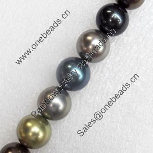 South Sea Shell Beads, Round, 10mm, Hole:Approx 1mm, Sold per 16-inch Strand