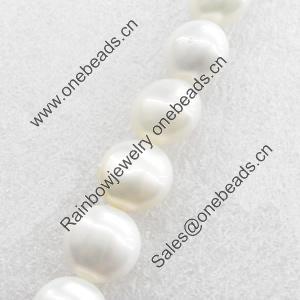 South Sea Shell Beads, Flat Round, 14mm, Hole:Approx 1mm, Sold per 16-inch Strand