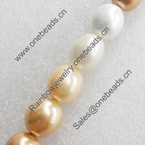 South Sea Shell Beads, Oval, 13x15mm, Hole:Approx 1mm, Sold per 16-inch Strand