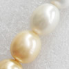 South Sea Shell Beads, Oval, 13x15mm, Hole:Approx 1mm, Sold per 16-inch Strand