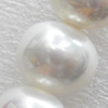 South Sea Shell Beads, Oval, 13x15mm, Hole:Approx 1mm, Sold per 16-inch Strand