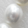 South Sea Shell Beads, Oval, 13x15mm, Hole:Approx 1mm, Sold per 16-inch Strand