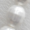 South Sea Shell Beads, Oval, 14x11mm, Hole:Approx 1mm, Sold per 16-inch Strand