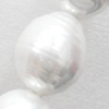 South Sea Shell Beads, Oval, 27x30mm, Hole:Approx 1.5mm, Sold per 16-inch Strand