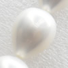 South Sea Shell Beads, Teardrop, 16x21mm, Hole:Approx 1mm, Sold per 16-inch Strand