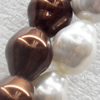 South Sea Shell Beads, Bicone, Mixed color, 14x17mm, Hole:Approx 1mm, Sold per 16-inch Strand