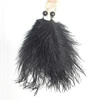Fashional Earrings, Feather, Mix color, 180mm, Sold by Dozen 