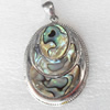 Shell Pendant, 32x51mm, Hole:Approx 4mm, Sold by PC