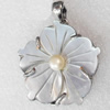 Shell Pendant, 31x38mm, Hole:Approx 4mm, Sold by PC