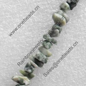 Gemstone Beads, Chips, 5-8mm, Hole:Approx 1mm, Sold per 16-inch Strand