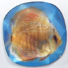 Resin Faceted Cabochons, No-Hole Jewelry findings, 26mm, Sold by Bag
