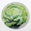 Resin Cabochons, No-Hole Jewelry findings, 25mm, Sold by Bag