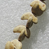 Coconut Shell, Moon 10x6mm Hole:1mm, Sold by Strand