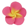 Handmade Polymer Clay Beads, Flower 26mm Hole:2mm, Sold by Bag 