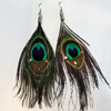 Fashional Earrings, Feather, Sold by Dozen 