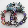 Shell Bracelet, Mix Colour, Length Approx:7.1-inch, Sold by Strand
