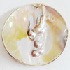 Shell Pendant, Flat Round, 60mm, Sold by PC