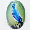 Resin Cabochons, No-Hole Jewelry findings, Oval, 15x20mm, Sold by Bag