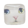 Resin Cabochons, No-Hole Jewelry findings, Square 13mm, Sold by Bag