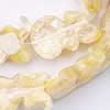 Leaf Shell Beads, 22x16x5mm, Hole:Approx 1mm, Sold per 16-Inch Strand