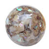 Resin Beads, With Shell, Round, 22mm, Hole:Approx 3mm, Sold by PC