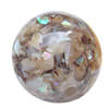 Resin Beads, With Shell, Round, 18mm, Hole:Approx 3mm, Sold by PC