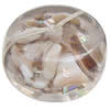 Resin Beads, With Shell, Rondelle, 19x12mm, Hole:Approx 3mm, Sold by PC