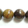 Gemstone beads, fossil jasper, round, 12mm, Sold per 16-inch Strand 