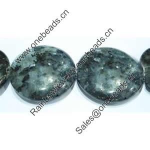 Gemstone beads, labradorite, coin, 25mm, Sold per 16-inch Strand 