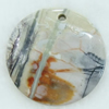 Gemstone pendant, picasso jasper, coin, 45x45x6mm, Sold by PC 
