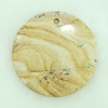 Gemstone pendant, pictuer jasper, coin, 45x45x6mm, Sold by PC