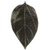 Iron Pendant. Fashion Jewelry Findings. Lead-free. Leaf 43x75mm Sold by Bag