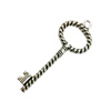 Pendant. Fashion Zinc Alloy Jewelry Findings. Lead-free. Key 54x19mm. Sold by Bag
