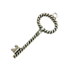 Pendant. Fashion Zinc Alloy Jewelry Findings. Lead-free. Key 54x19mm. Sold by Bag