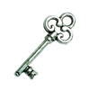 Pendant. Fashion Zinc Alloy Jewelry Findings. Lead-free. Key 22x8mm. Sold by Bag
