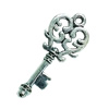 Pendant. Fashion Zinc Alloy Jewelry Findings. Lead-free. Key 27x10mm. Sold by Bag
