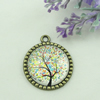 Zinc Alloy Enamel Pendant. Fashion jewelry findings. Lead-free. Flat Round 30x34.5mm. Sold by PC
