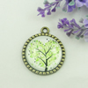 Zinc Alloy Enamel Pendant. Fashion jewelry findings. Lead-free. Flat Round 30x34.5mm. Sold by PC
