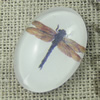 Glass Cabochons, Fashion accessories For settings,20x30mm, Sold by PC
