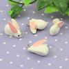 Resin Animal Small Rabbit Pendants & Charms For Children DIY Jewelry Necklace & Bracelet Accessories 22mm
