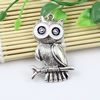 Pendant/Charm, Fashion Zinc Alloy Jewelry Findings, Lead-free, Animal 55x36mm, Sold by KG